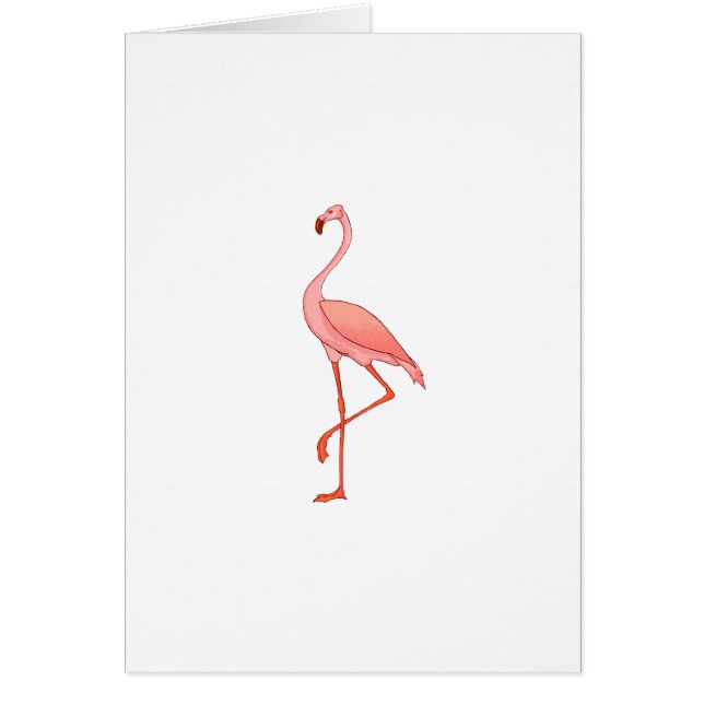 Flamant rose de Frederick (Devant)