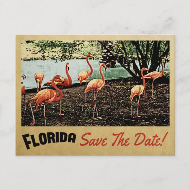 Flamant rose Florida Enregistrer La Date Cartes Po (Devant)