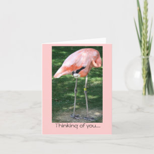 Flamant rose Pensez à vous... Carte