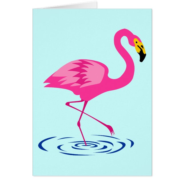 Flamant rose rose (Devant)