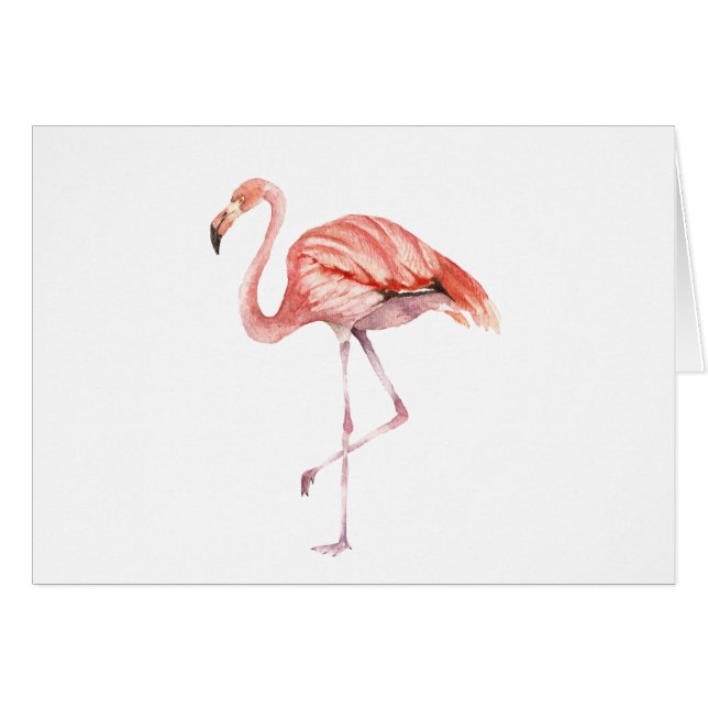 Flamant rose rose (Devant horizontal)