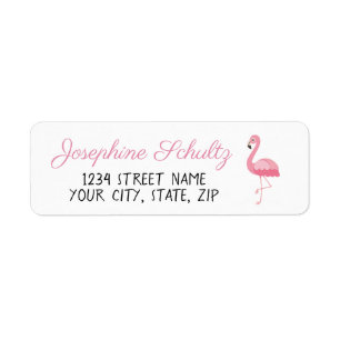 Flamant rose rose