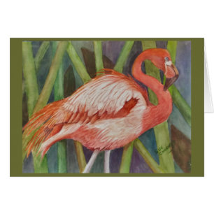 FLAMANT ROSE ROSE CLASSÉ