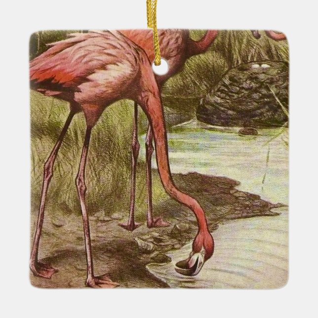 Flamant rose Vintage ornement d'illustration (Devant)