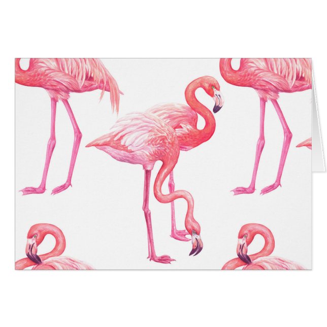 Flamants roses (Devant horizontal)
