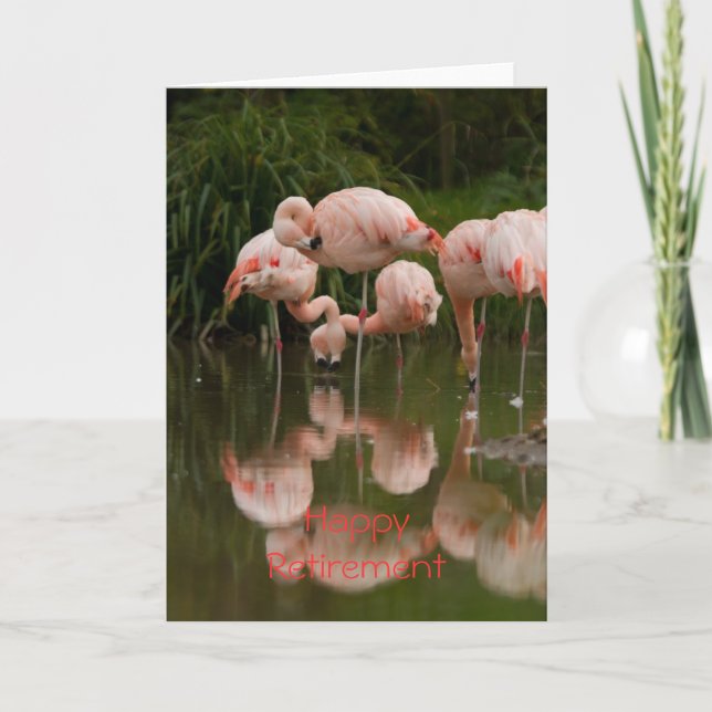 Flamants roses Bonne carte de retraite (Devant)
