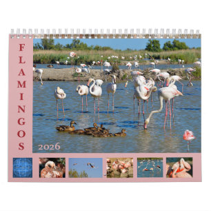 Flamants roses calendrier 12 mois