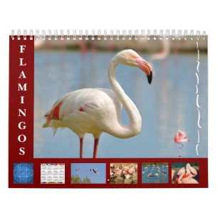 Flamants roses calendrier 12 mois
