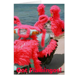 Flamants roses obtenus ! ,