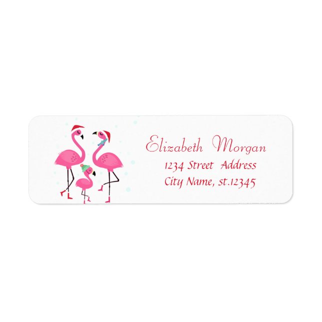 Flamants roses roses Famille Santa Hat Vacances (Devant)