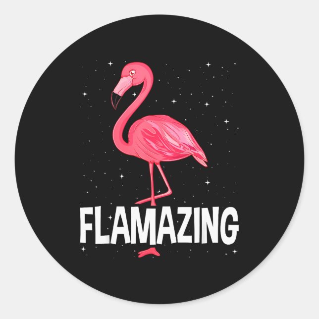 Flamazing Nk Flamingo Novelty Flamingo Lover Funny Classic Round Sticker (Front)