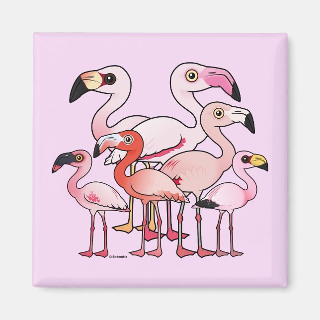 Flamboyance Magnet (Front)