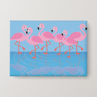 Flamboyance of Flamingos