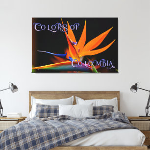 Flamboyant Bird of  Paradise Flower Canvas Print