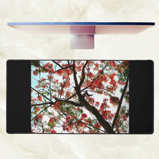 Flamboyant Royal Poinciana Tree Photographic Black Desk Mat (Creator Uploaded)