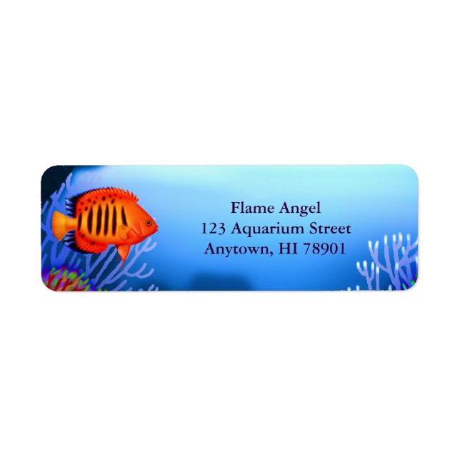 Flame Angelfish Reef Fish Label (Front)