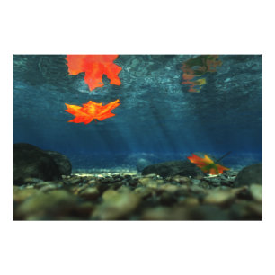 Flame in the Water Photo Print