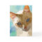 Flame Point Siamese Cat Greeting Cards