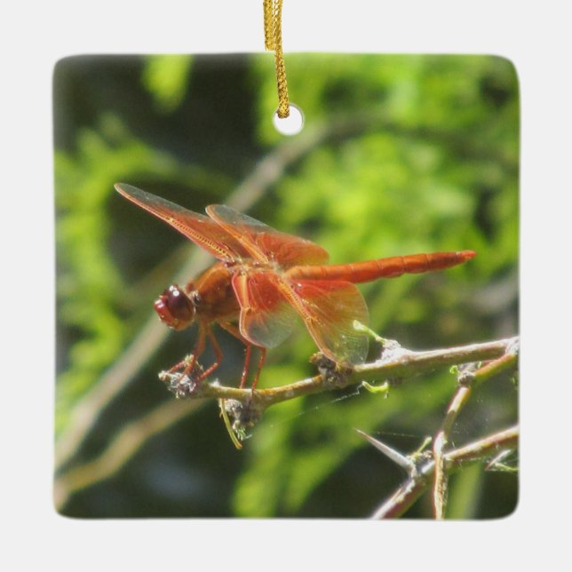 Flame Skimmer Dragonfly Ceramic Ornament (Front)