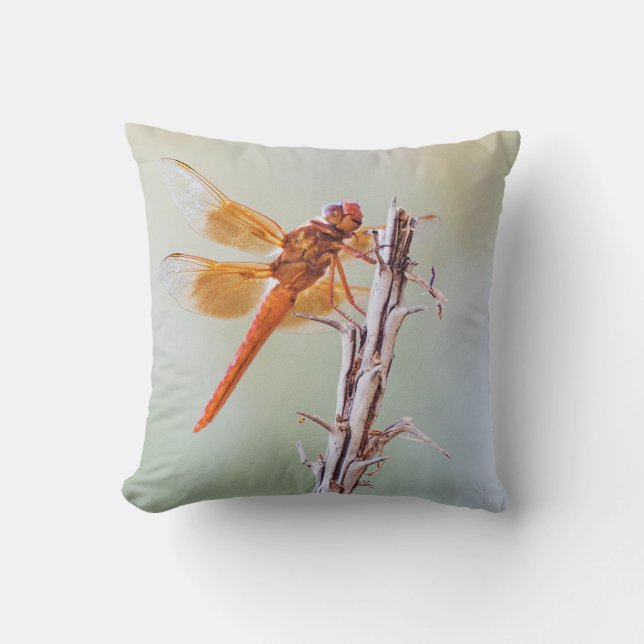 Flame Skimmer Dragonfly on Agave Throw Pillow (Front)