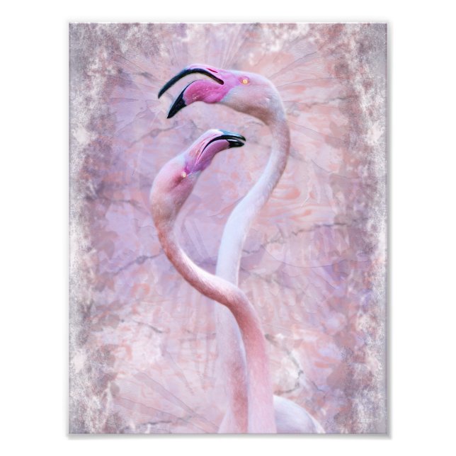 Flamenco Print (Front)