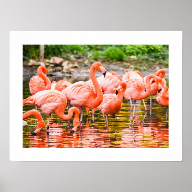 Flamengo Poster (Front)