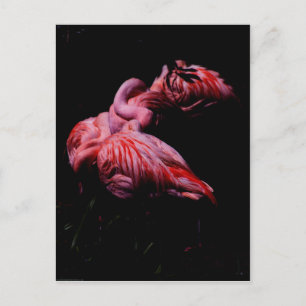 Flames in the Darkness Postcard