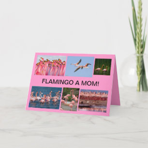 Flamigo a mom mothers day card