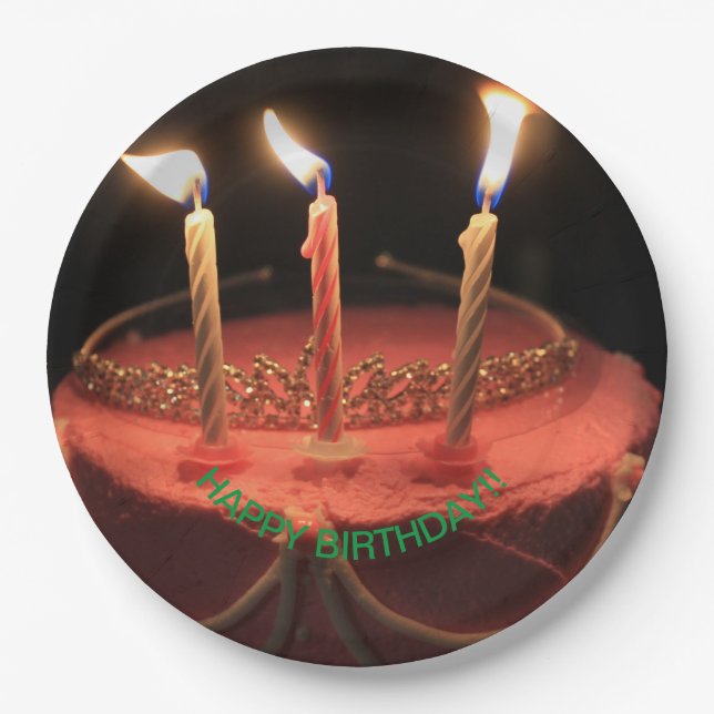 Flaming Candles Birthday Cake  Paper Plate (Front)