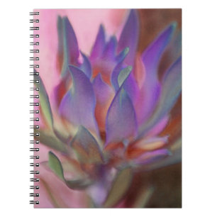Flaming Protea Notebook