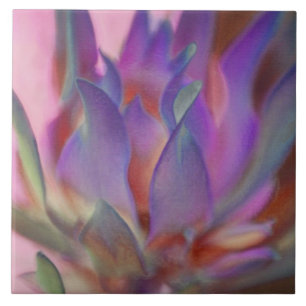 Flaming Protea Tile