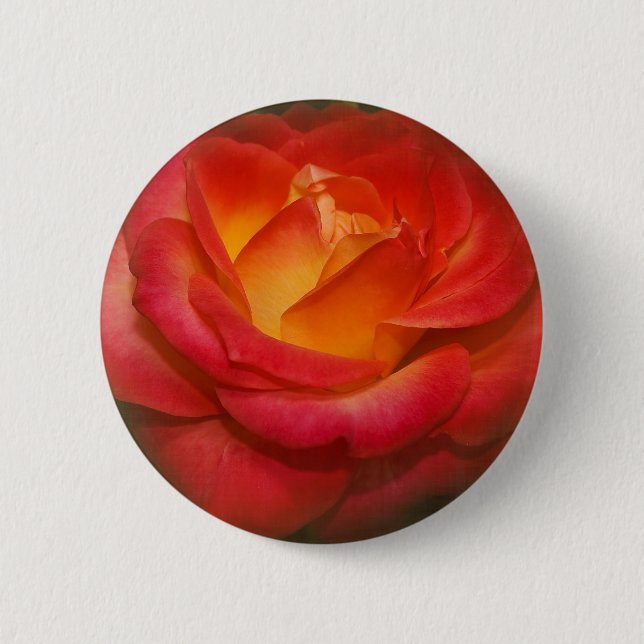 Flaming Rose on Parchment 2 Inch Round Button (Front)
