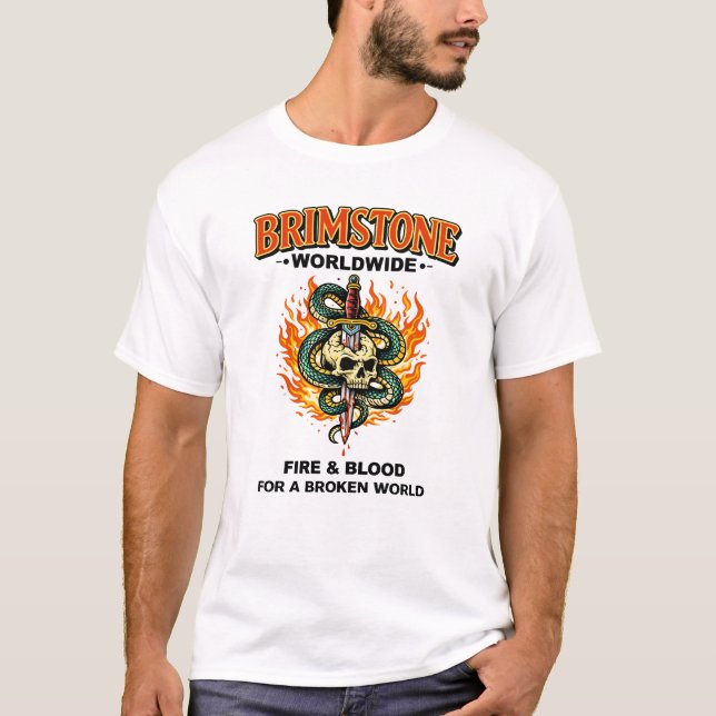 Flaming Skull Dagger Snake Graphic Tee (Front)