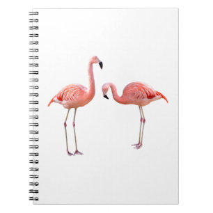 “flamingo”の優良製品 notebook