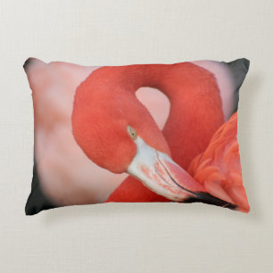 Flamingo 001 accent pillow