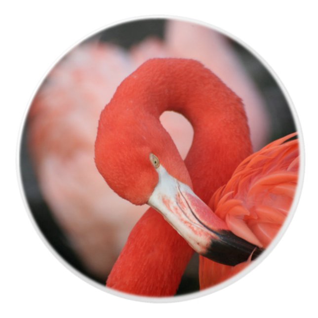 Flamingo 001 ceramic knob (Front)