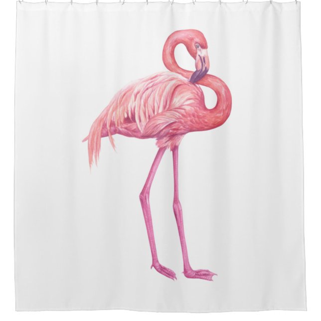 Flamingo 2 (Front)