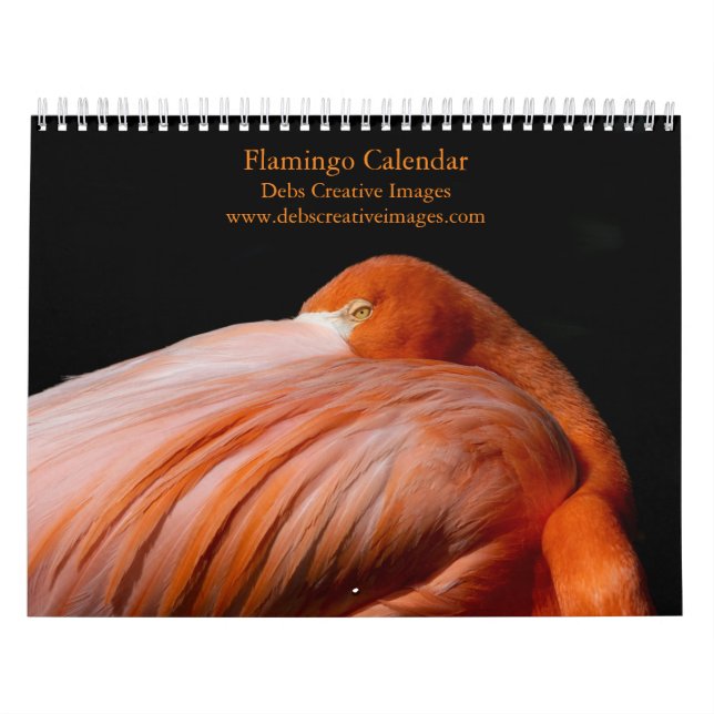 Flamingo 2026 calendar (Cover)