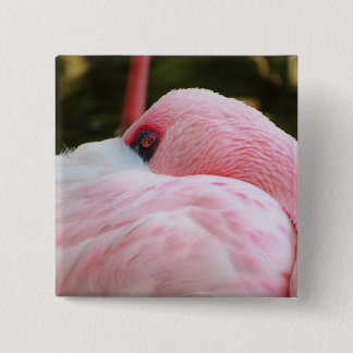 Flamingo  2 inch square button