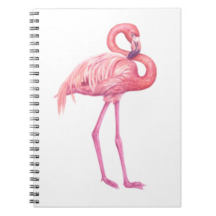Flamingo 2 notebook