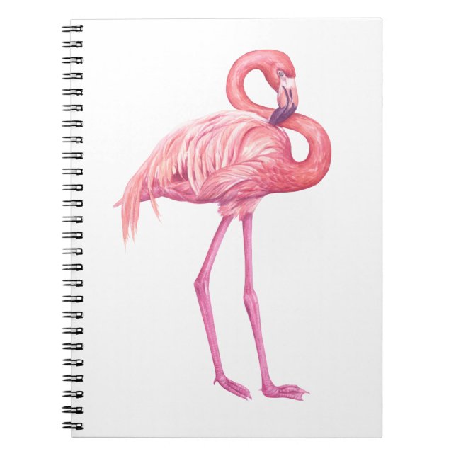 Flamingo 2 notebook (Front)