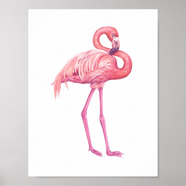Flamingo 2 poster (Front)