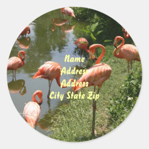 Flamingo Address Label