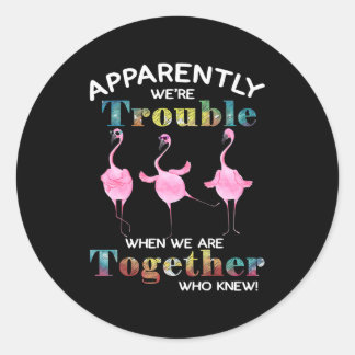 Flamingo Apparently Were Trouble \ Classic Round Sticker