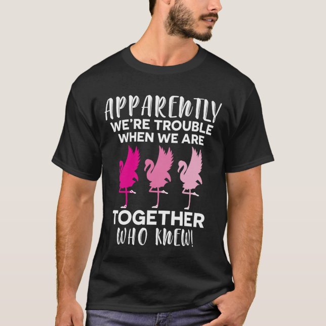 Flamingo Apparently We're Trouble When We together T-Shirt (Front)