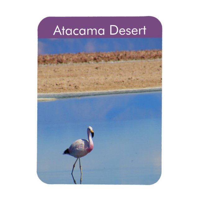 Flamingo Atacama Desert Flexible Magnet (Vertical)
