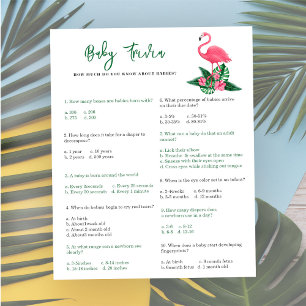 Flamingo - Baby Trivia Baby Shower Game