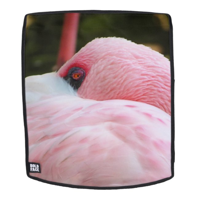 Flamingo  backpack (Removable Face)
