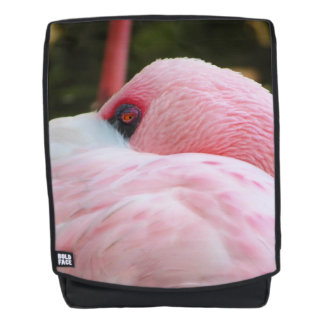 Flamingo  backpack