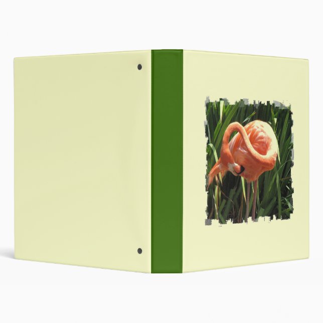 Flamingo Binder (Background)